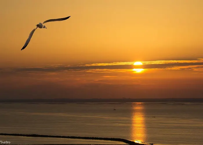 L'eternel Estivant Appartement Sète